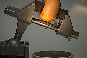 egg crash
